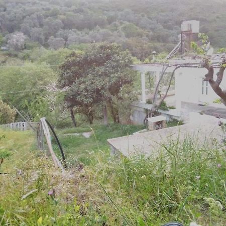 Angel Villa Strovles Exterior photo